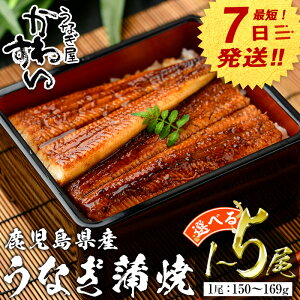 yӂ邳Ɣ[Łzy7cƓȓɔIzeʂIׂ遄Ȃ킷Y YȂ (1{150`169g×1`5{) ^ V EiM Ȃ ȏd Y 