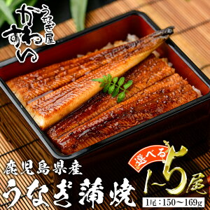 �y�ӂ邳�Ɣ[�Łz�����e�ʂ��I�ׂ遄�����Ȃ������킷�������������Y ���Y���Ȃ����� (1�{������150�`169g×1�`5�{) �^������ �V �E�i�M ���Ȃ� ���ȏd ���������Y �Ⓚ ���킷�� �y������Y�z