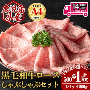 yӂ邳Ɣ[Łz14cƓȓIIׂeʁIYјa[X ԂԗpZbg (v500g`1kgE500g×1`2) Y  Y јa   A4ȏ A4 