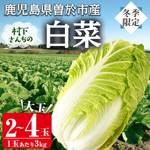 �y�ӂ邳�Ɣ[�Łz���I�ׂ���e�ʁ�����Ԍ���⑺�����񂿂̔���(��3kg×2��or4��) ���� �͂����� �{ ��� ���N�H�� ���X�` ���蕨 �����i�y�]���s�ό�����z