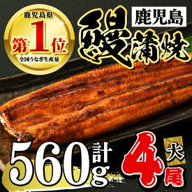 【ふるさと納税】鹿児島県産 うなぎ蒲焼 大 4尾セット 鰻蒲焼 計約560g(約140g×4尾) タレ・山椒付き 鰻 ウナギ 大 4尾 うな重 ひつまぶし かばやき 九州産 国産 冷凍 【西日本養鰻】