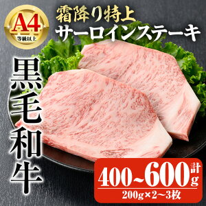 yӂ邳Ɣ[ŁzIׂeʁYA4ȏ㍕јaE~T[CXe[L v400`600g(200g×2`3) Y Y   Ⓚ  јa Xe[L T[