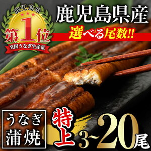 yӂ邳Ɣ[ŁzIׂIIYȂăZbgい(v480gȏ`v3.2kgȏE 160gȏ×3`20) ^ERt V Ȃ  EiM } Ⓚ 6 Ђ