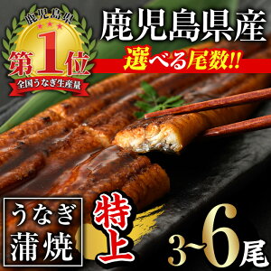 yӂ邳Ɣ[ŁzIׂIIYȂăZbgい(v480gȏ`v960gȏE 160gȏ×3`6) ^ERt V Ȃ  EiM } Ⓚ 6 Ђ