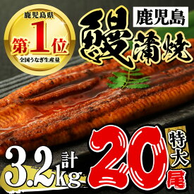 【ふるさと納税】鹿児島県産 うなぎ蒲焼 特大 20尾セット 鰻蒲焼 計約3.2kg(約160g×20尾) タレ・山椒付き 鰻 ウナギ 特大 うな重 ひつまぶし かばやき 九州産 国産 冷凍 【おおさき町鰻加工組合】