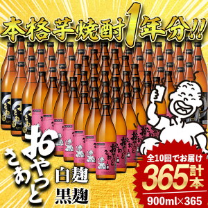 yӂ邳Ɣ[Łz{iĒ1NI₨Ƃ365{ZbgI(S10 / Ƃ900ml×120{EƂ900ml×245{) Ē Ē {iĒ  ܈      A