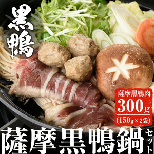 yӂ邳Ɣ[ŁzԂ̂ŁFZbgA v300g(150g×2)IF     Ⓚ  IK3 Yy{L@z