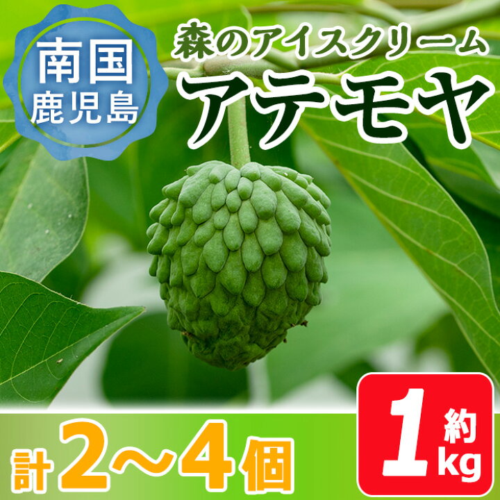楽天市場】【ふるさと納税】【数量限定】森のアイスクリーム 国産 