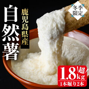yӂ邳Ɣ[Łzs\tE2025N11{`12{珇\聄Ԍ⎭YR1.8kgȏ(1{@2{) R ܂ R  NH Ƃ` R