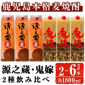 麦焼酎 めちゃうま麦 飲み比べ 900ml パック × 6本 セット 選べる 配送回数 単品1回 隔月3回 定期便