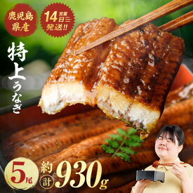 【ふるさと納税】 鹿児島県産 うなぎ 蒲焼 (計約930g / 約186g × 5尾 ) 鰻 ウナギ うなぎ うな重 蒲焼 かばやき 国産 冷凍 鹿児島 うな丼 鰻蒲焼 特上 【株式会社薩摩川内鰻】