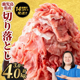 【ふるさと納税】豚肉 切り落とし ＜選べる内容量・銘柄＞豚肉切り落とし(合計3.0〜4.0kg、鹿児島県産豚／曽於ポーク) セット 国産 鹿児島県産 小分け 真空 冷凍 豚 肉【Rana】