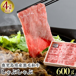 yӂ邳Ɣ[ŁzYјaI]狍XCX(600g) Y Y јa a      XCX Ԃ Ă ₫ Ⓚ Mtg 