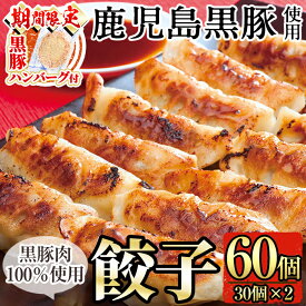 【ふるさと納税】＜期間限定！黒豚ハンバーグ付＞鹿児島黒豚餃子60個(30個×2)国産 ぎょうざ ギョウザ 冷凍 黒豚 豚肉 お肉 おかず【九面屋】