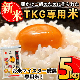 【ふるさと納税】《令和7年産新米》日本初！卵かけご飯専用のお米！コケコッコ(TKG専用米)計5kg！お米 精米 白米 米 お米 こめ コメ【山口米店】