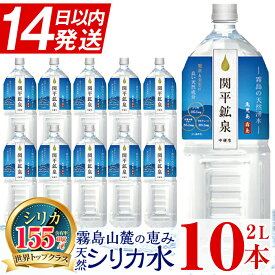 【ふるさと納税】関平鉱泉水(ペットボトル)2L×10本！水 2l のむシリカ ミネラルウォーター 温泉水 シリカ シリカ水 ミネラル成分 飲料水 2リットル 水2リットル【関平鉱泉所】