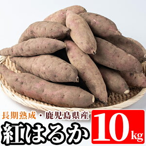 yӂ邳Ɣ[Łzs\tI2025N10{ȍ~Yg͂邩yt(10kg)܂ Tc}C ܈ g͂邩 ytbVWpz