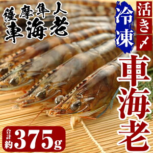 yӂ邳Ɣ[ŁzYⓀԊCVuFlԊCVvv375g(125g×3pbN) Ⓚ Gr  CV ԊCV ܂  ^pbN }Ⓚ hgyMBCJz