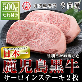 【ふるさと納税】＜A5ランク＞黒毛和牛ステーキ計約500g(250g×2枚)※北海道・沖縄配送不可※鹿児島黒牛 国産 黒毛和牛 鹿児島県産 肉 牛肉 A5等級 サーロイン ステーキ肉 30000【今肉屋】