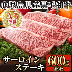 yӂ邳Ɣ[ŁzYјaT[CXe[L3 v600g(A-5)Y јa a  30000yʉz