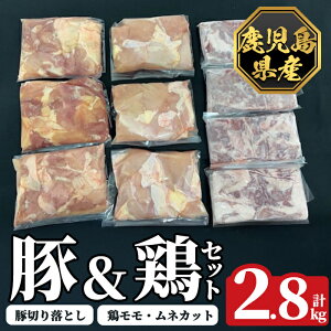 yӂ邳Ɣ[ŁzsʌtY؁{Zbg(v2.8kg)  ؓ   Y ؂藎Ƃ  l Jbg ZbgZbg  Hה ⓀynslXz