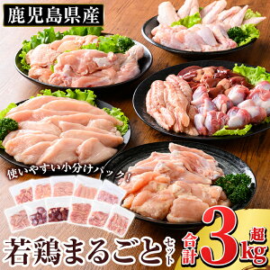 yӂ邳Ɣ[ŁzY {܂邲ƃZbg (v3.05kg) Y  Ⓚ ^pbN {    ނ˓ l   TT~ ؂Ȃ   H L`u H