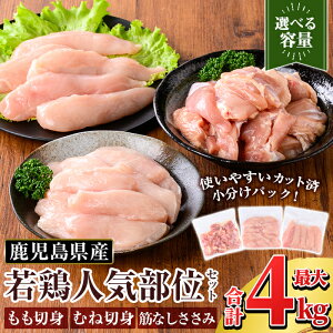 yӂ邳Ɣ[ŁzIׂeʁY {lCʃZbg (v2kg~4kg) Y  Ⓚ ^pbN {    ނ˓ l   TT~ ؂Ȃ ؐg ؂g l