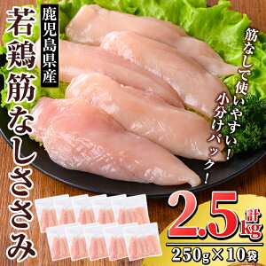 yӂ邳Ɣ[ŁzY {؂Ȃ (v2.5kgE250g×10) Y  Ⓚ ^pbN {   TT~ ؂Ȃ Z yTRINITYz
