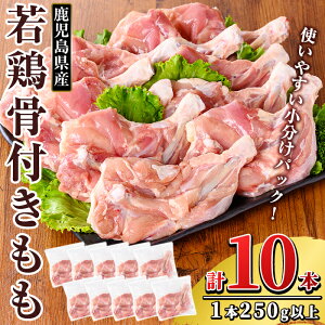 yӂ邳Ɣ[Łz Y {t10{Zbg (250gȏ×10{) Y Ⓚ ^pbN {    yTRINITYz