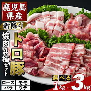 yӂ邳Ɣ[ŁzIׂeʁY~g ēpoGeBZbg(v1kg`3kg) [X o Ef  Ă LjN ؓ Y Y    Zbg Hה
