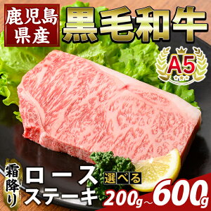 yӂ邳Ɣ[ŁzIׂeʁYA5јa~胍[XXe[L(v200g`600g)  Y Y [X Xe[L   yӂ邳ƎYoU[z