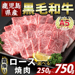 yӂ邳Ɣ[ŁzIׂeʁYA5јa~ネ[Xē(v250g`750g)  Y Y [X ē    yӂ邳ƎYoU[z