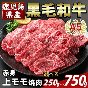 yӂ邳Ɣ[ŁzIׂeʁYA5јaԐgヂē(v250g`750g)  Y Y  ē    yӂ邳ƎYoU[z