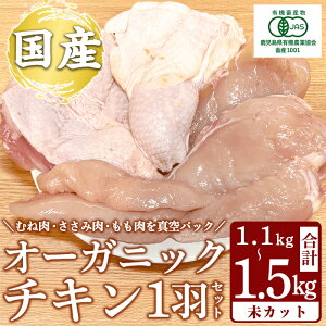 yӂ邳Ɣ[ŁzYII[KjbN`L1HZbg Jbg (v1.1kg`1.5kg) Y {     ނ l  TT~ I[KjbN L@JASF Rsgp N`sg