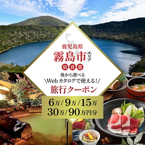 yӂ邳Ɣ[ŁzycA[z s ォIׂ闷sWebJ^OŎgIsN[|(60,000~E90,000~E150,000~E300,000~E900,000~) ɂ̖₵ s 