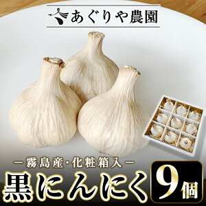 yӂ邳Ɣ[Łzϔ聄 ɂɂlߍ킹(9) Y Y jjN l 󒍐Y Hi  Mtg  v[gy_z