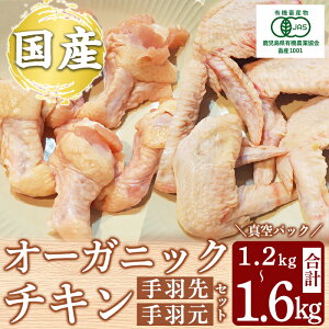 yӂ邳Ɣ[ŁzYII[KjbN`L H HZbg (v1.2kg`1.6kg) Y {  I[KjbN L@JASF Rsgp N`sgp N`t[ 򎔈 Ⓚy