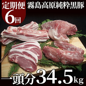 yӂ邳Ɣ[ŁzցF6t(134.5kg) ؓ    [X o Ԃ  ؓցyC|[Nz
