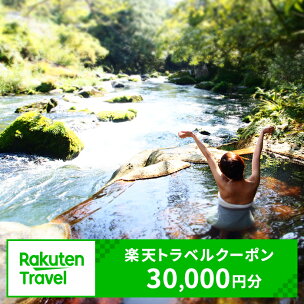 鹿児島県霧島市の対象施設で使える楽天トラベルクーポン 寄附...