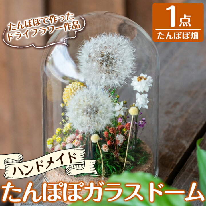 楽天市場 ふるさと納税 たんぽぽガラスドーム たんぽぽ畑 1点 タンポポやかすみ草のドライフラワーで作ったハンドメイド作品 かわいち国分 鹿児島県霧島市