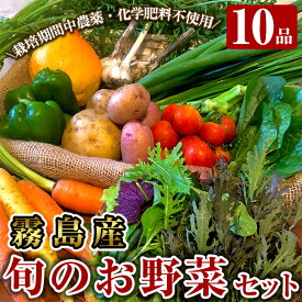 【ふるさと納税】霧島産！旬の野菜セット(季節の野菜10品)栽培期間中農薬・化学肥料不使用の新鮮な野菜の詰め合わせ【有機ファームえん】