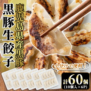 yӂ邳Ɣ[ŁzYIYLq60(10×6P)Y ؓ 傤 M[U MEU y  Ⓚ y̖Lyz