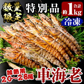 【ふるさと納税】＜数量限定！特別品＞冷凍車えび特大サイズ1kg(20～28尾) 冷凍 エビ えび 海老 車海老 くるまえび 加熱用 エビフライ 天ぷら おかず BBQ バーベキュー【MBC開発】