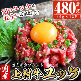 【ふるさと納税】国産！上村牛ユッケ(40g×12P・計480g)国産 牛肉 鹿児島県産 肉 牛 ユッケ 小分け【カミチク】