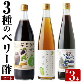 【ふるさと納税】3種のベリー酢(ピオーネ・シャインマスカット・ブルーベリー)飲み比べセット(計3本)お酢 調味料 黒酢ドリンク ビネガー セット 重久本舗【重久盛一酢醸造場】
