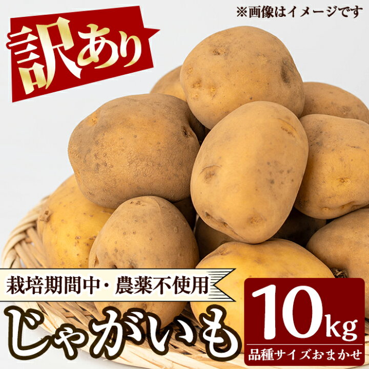 じゃがいも メーク 訳あり 07 訳あり】越冬B品メークイン10kg ｜ 野菜 