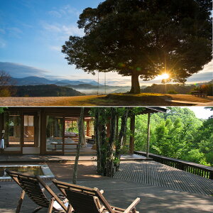 yӂ邳Ɣ[ŁzV̐XuJ̐XvyAh(12Ht)tBŊSvCx[g12HtyAh`PbgyV̐Xz