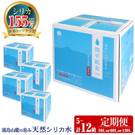 【ふるさと納税】《選べる定期》関平鉱泉水10L(2箱×3回・1箱×5回・2箱×6回)定期便♪ 水 ミネラルウォーター 温泉水 シリカ シリカ水 ミネラル成分 飲料水 天然水【関平鉱泉所】