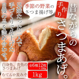 【ふるさと納税】さつま揚げの本場串木野産！寺田屋 特プレミアムセット(むてんか味噌1kgと棒天や上揚に旬のお野菜天など12枚以上)おかずに！おやつやおつまみに！【寺田屋】