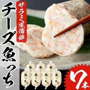 【ふるさと納税】さつま揚げ詰め合わせセット!本場、鹿児島県いちき串木野産地元鹿児島で人気のさつま揚げ7種、合計67枚入り!詰め合わせ【浜崎蒲鉾店】